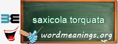WordMeaning blackboard for saxicola torquata